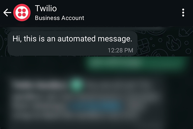 WhatsApp Message Automation